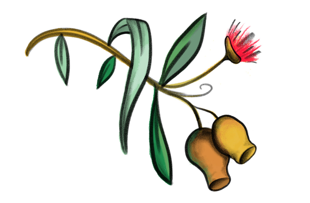 Child and Family Learning Centres - flower